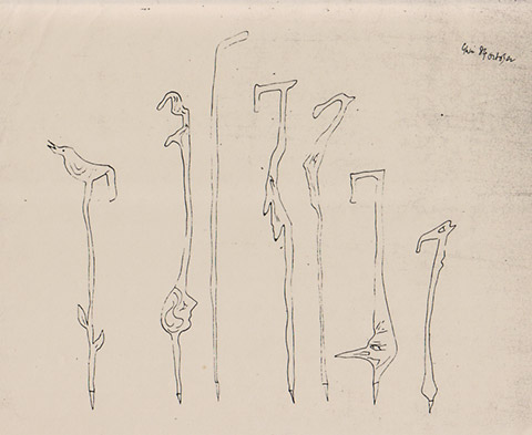 Old Man’s Stick, a Drawing