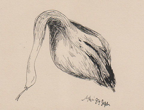 Swan-Snake, a drawing by Suraj Ghai